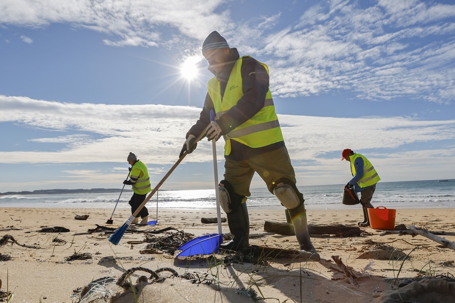 microplasticos fertilidad esperma