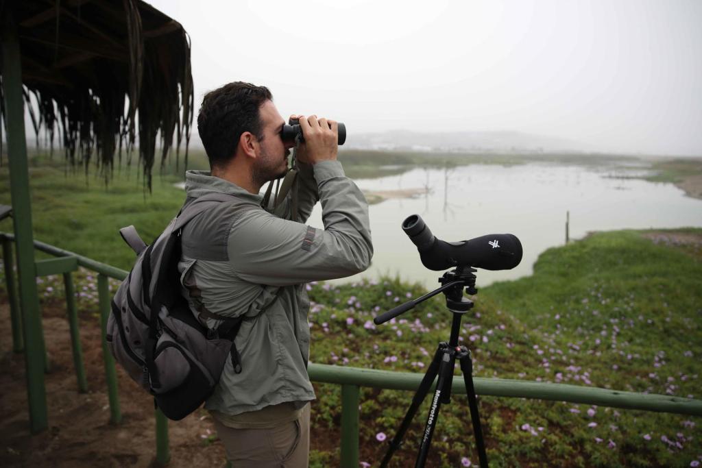 Un hombre observa aves desde un mirador del refugio de vida silvestre "Los Pantanos de Villa", hoy, en el sur de Lima (Perú). EFE/ Paolo Aguilar
