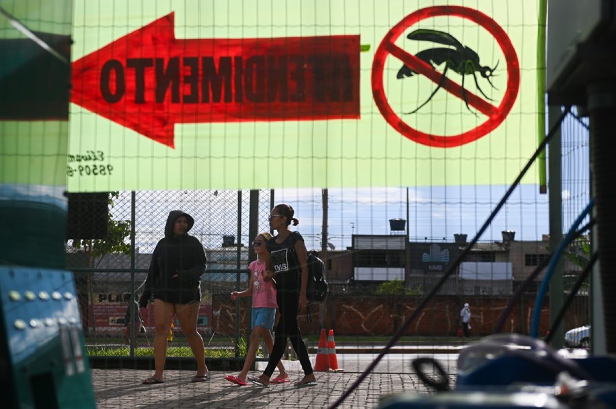 Brasil supera el medio millón de casos de dengue