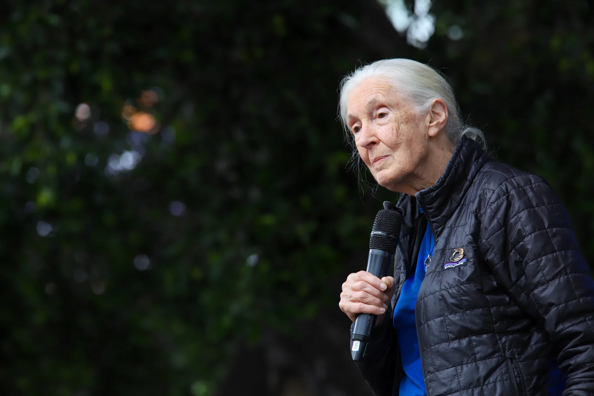 Muere a los 91 años la etóloga británica Jane Goodall, experta mundial en chimpancés