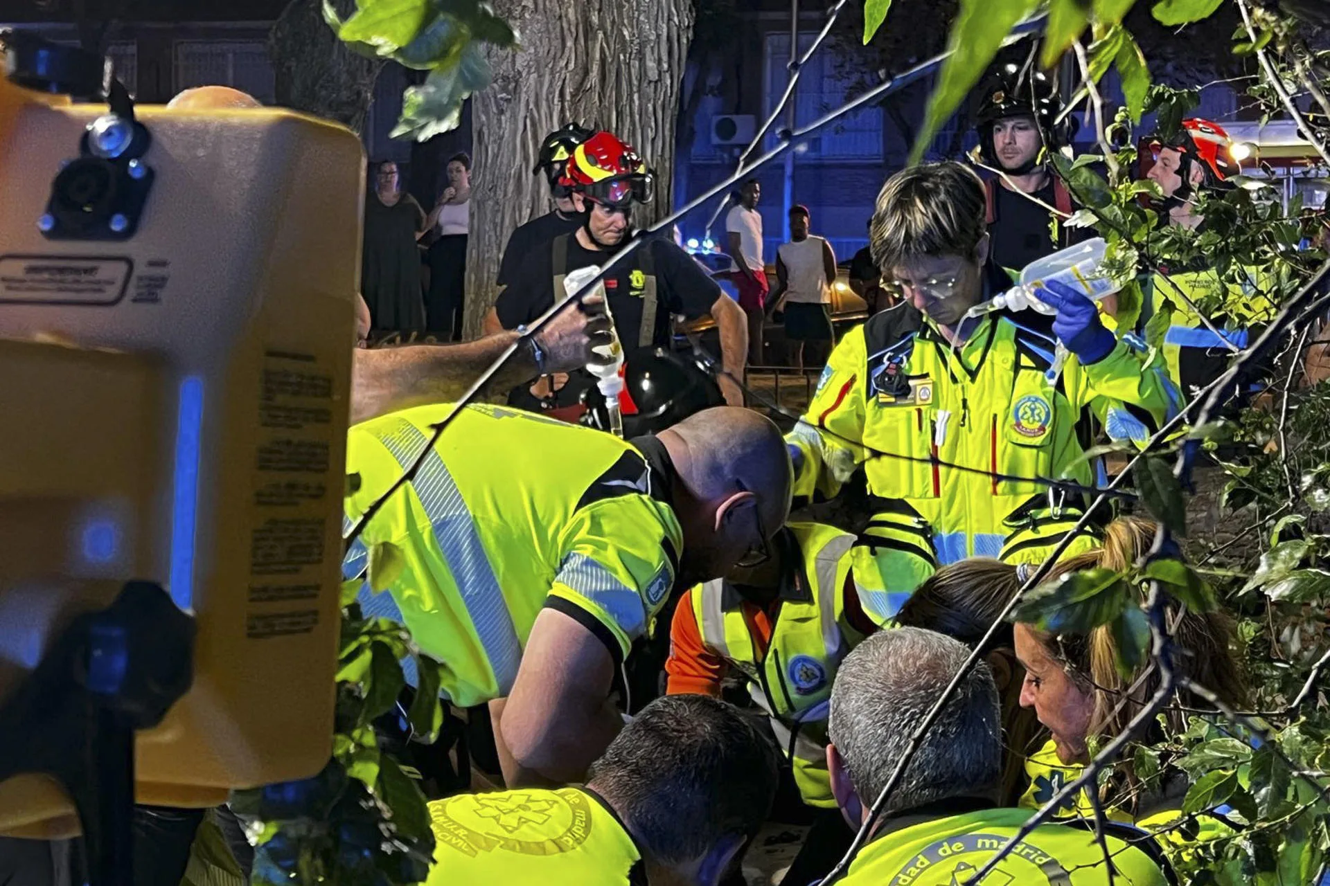 Un joven herido grave al caerle la rama de un árbol en una plaza de ...