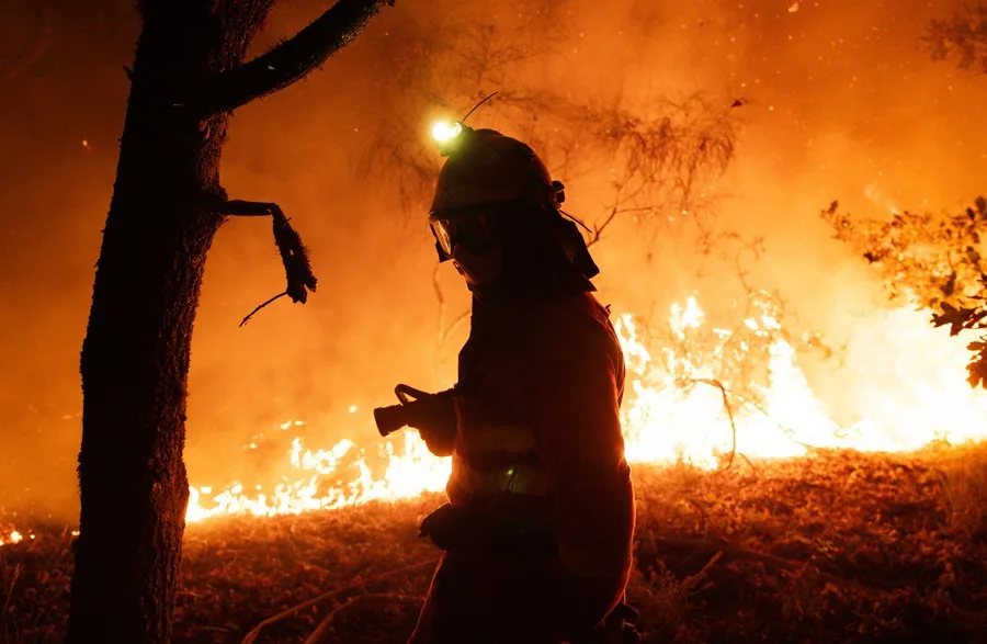 Los incendios en España queman 380.000 hectáreas, una superficie equivalente a la isla de Mallorca