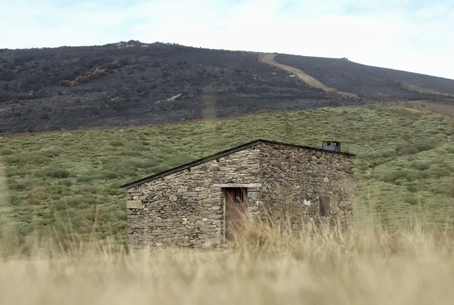 El Gobierno estima en 393.279 las hectáreas afectadas por los incendios forestales en 2025