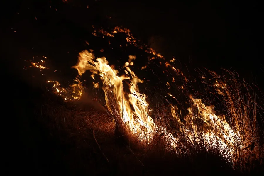 Última hora de los incendios: avance «descontrolado» del de Zamora y nuevo fuego en Lugo