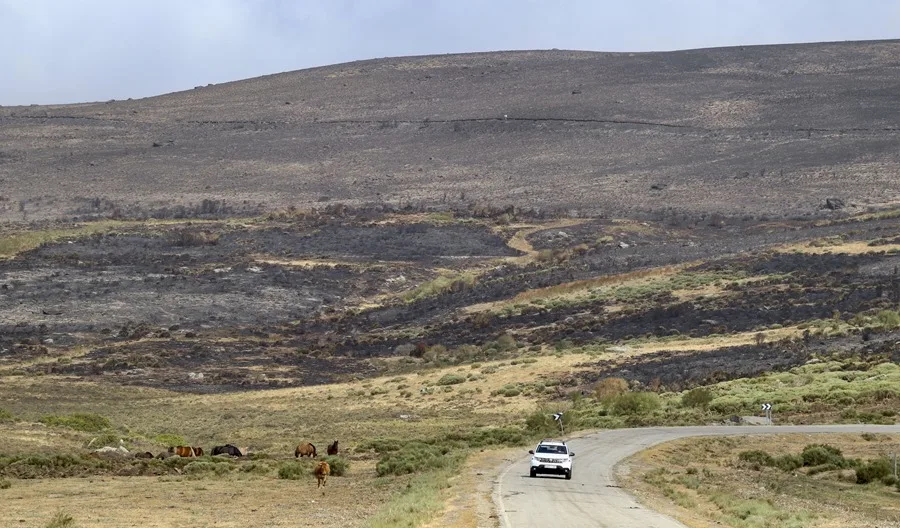 Última hora sobre los incendios: Castilla y León amanece sin poblaciones evacuadas y en Galicia ocho fuegos por extinguir