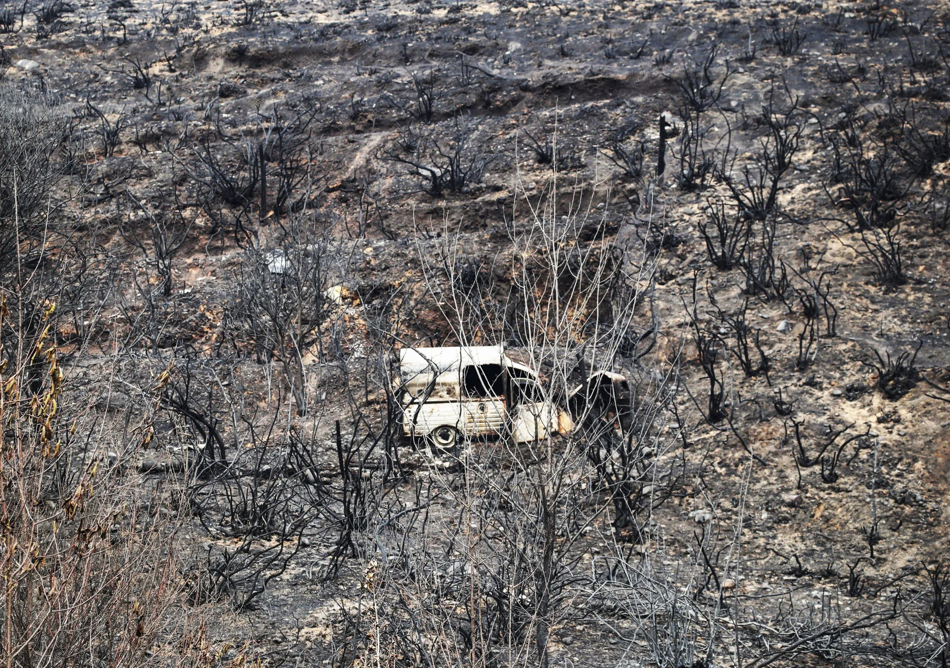 Los ‘megaincendios’ fueron la causa del 65 % de la superficie quemada en España este año