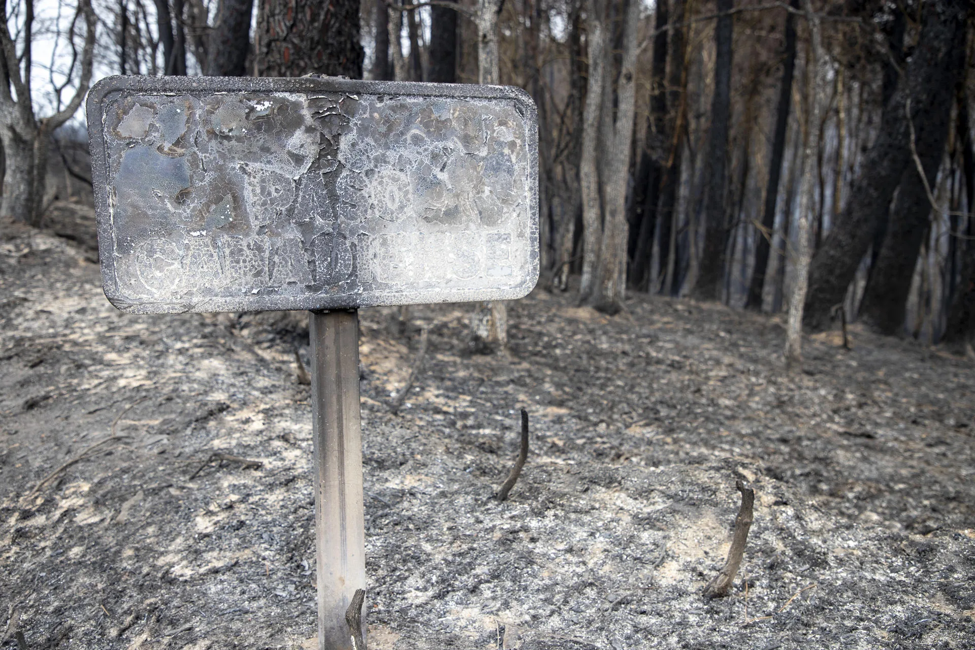 Galicia encara con impotencia los incendios forestales que sufre en septiembre