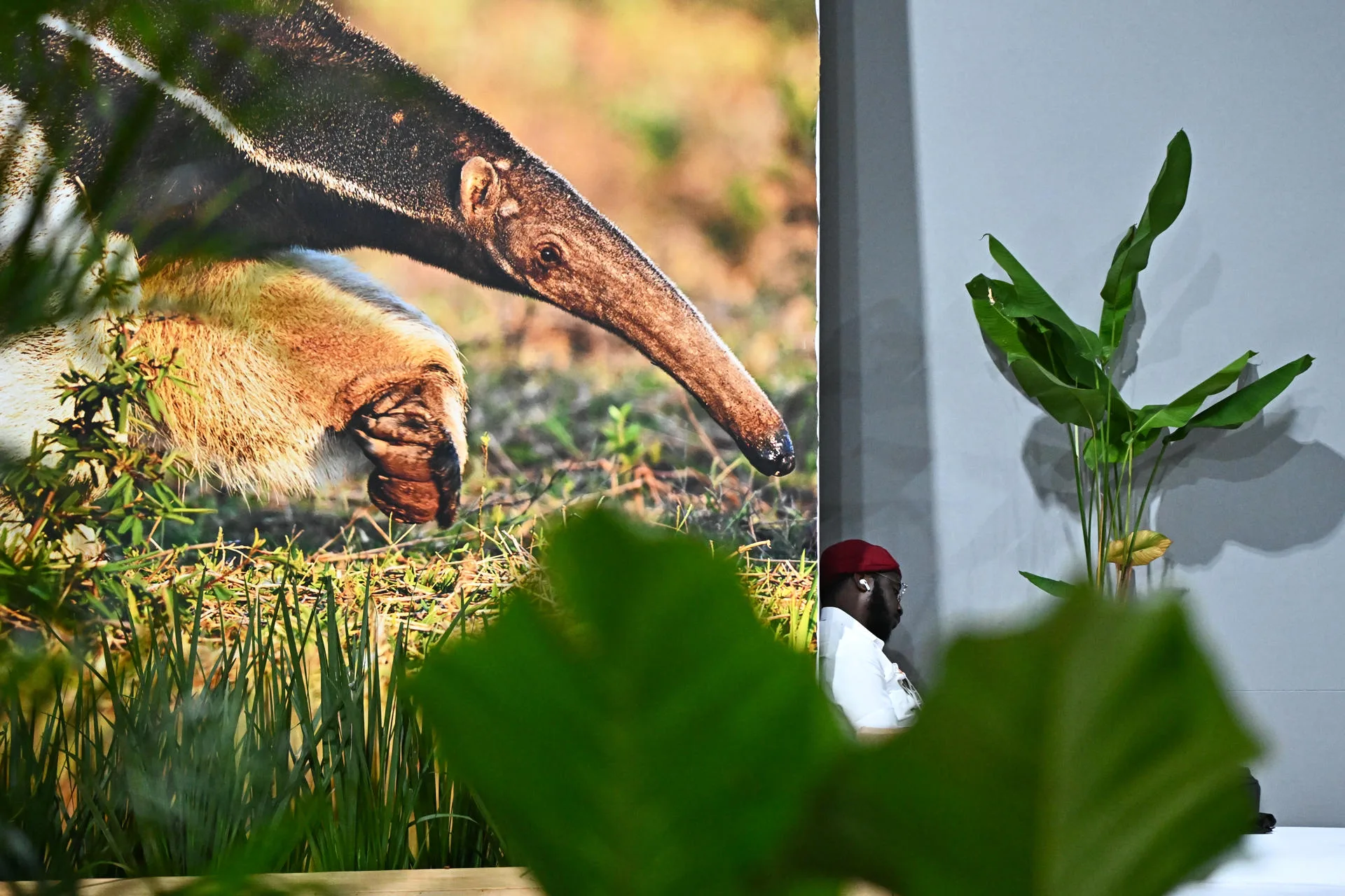 Latin American countries challenge COP30 decision-making as it ends with minimal deal