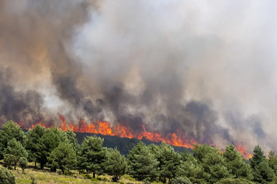 Incendios en España: el de Guadalajara frena su avance y preocupan los de Teruel, Huesca y Segovia