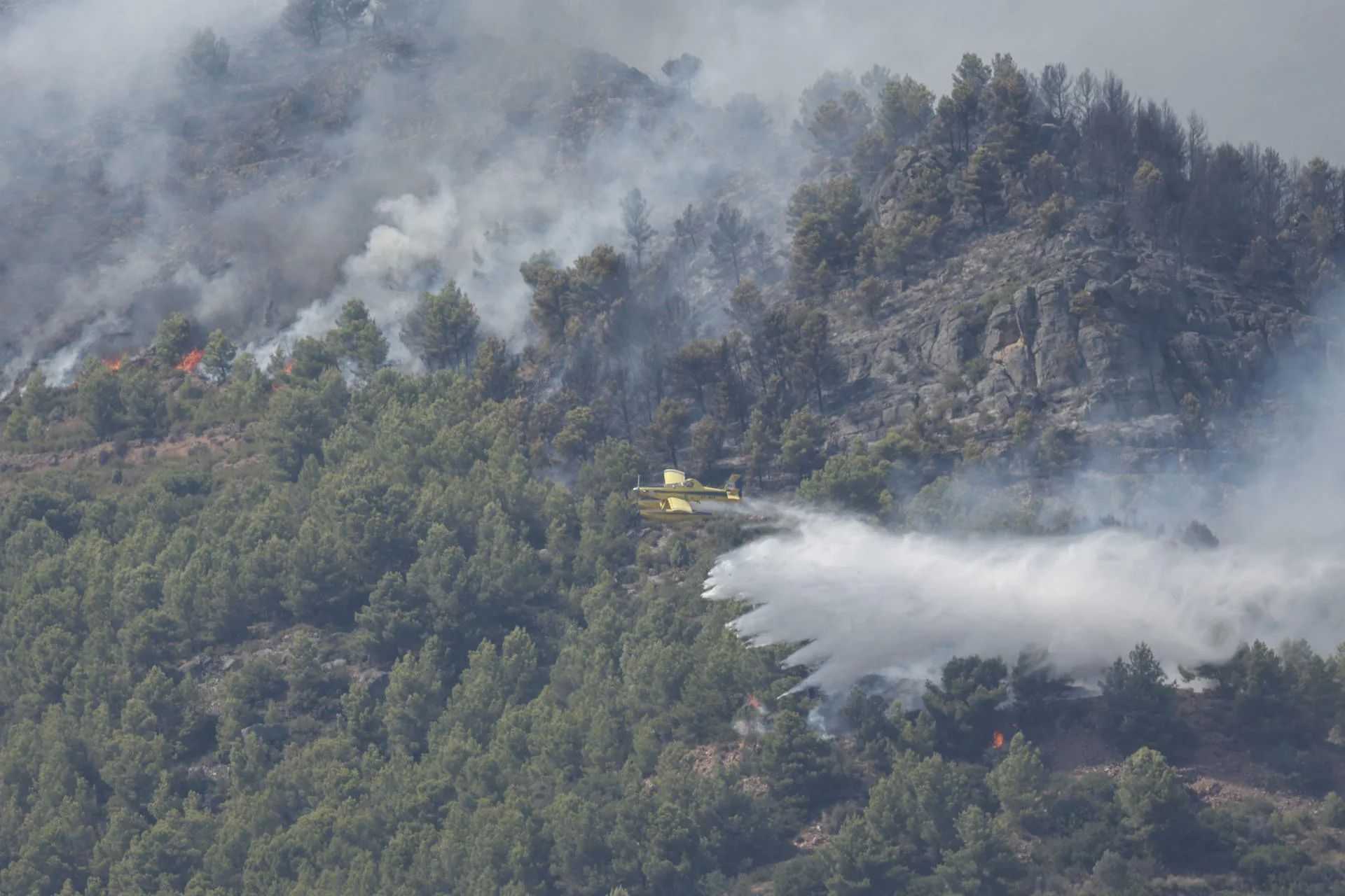 Spain and France Confront Unprecedented Wildfires Spain and France Confront Unprecedented Wildfires